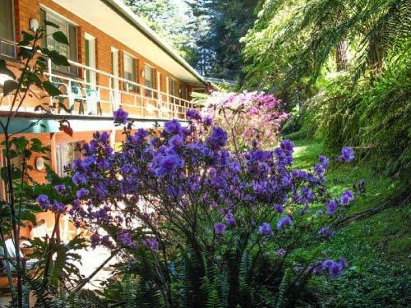 Warburton Motel Buitenkant foto